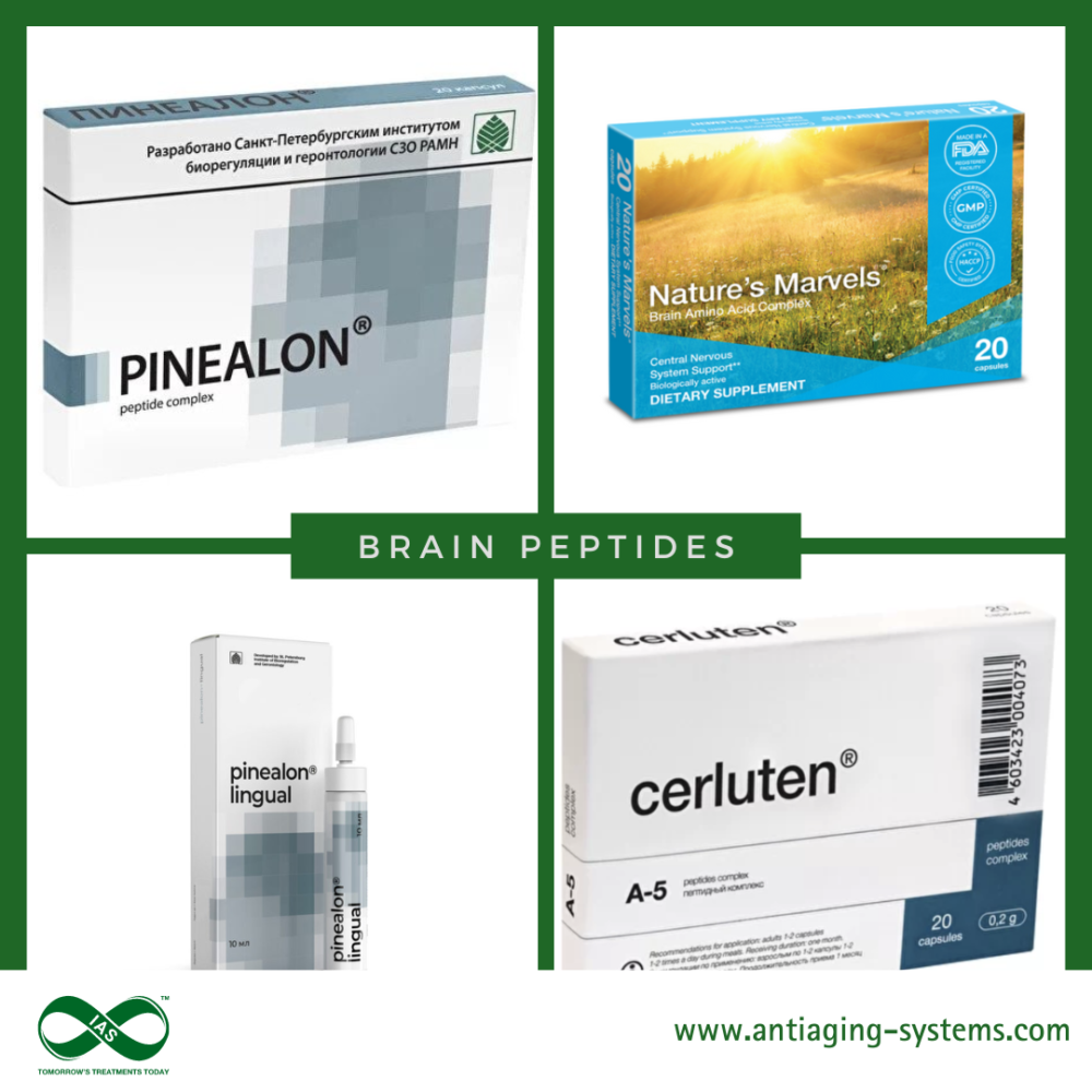 Brain Peptides