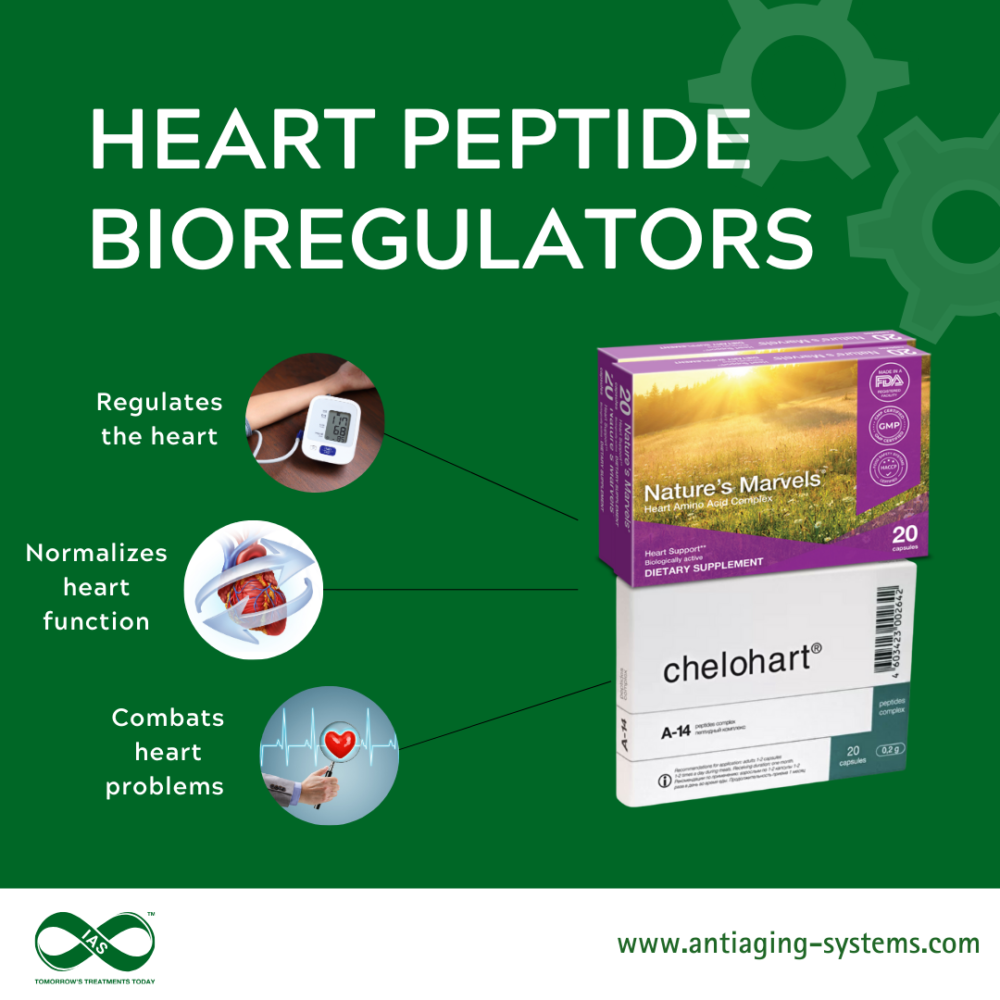 Heart Peptide Bioregulators