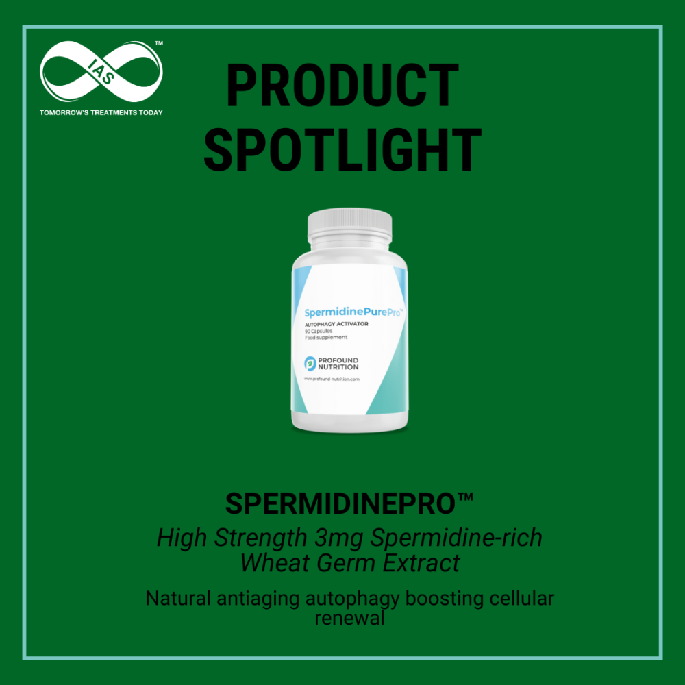 Spermidine spotlight